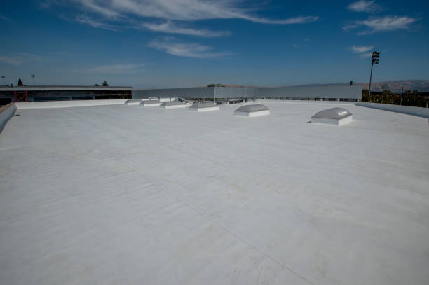 Best Roof Maintenance and Cleaning  in Oyster Bay Cove, NY